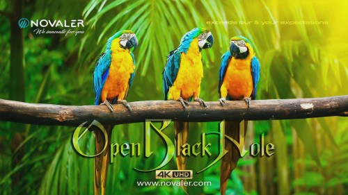 Openbh 4.4 Novaler 4k Backup NETFLIX & YOUTUBE TV