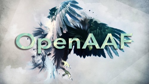 OpenAAF 6.4 Light Backup