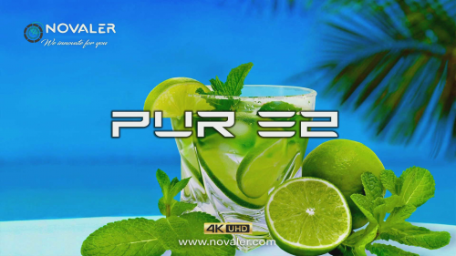 PurE2