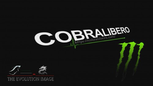cobralibero-Team