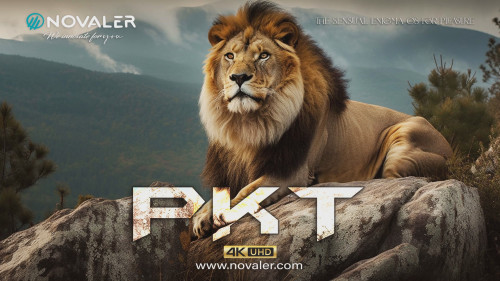 PKT Hyperion X.3 Multibox Pro 4k Full-Backup